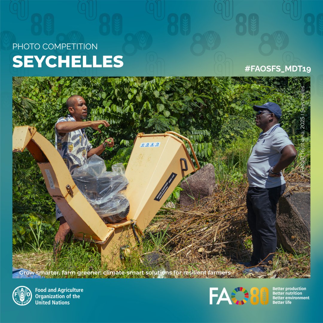 faosfsafrica's tweet photo. 📷🗳️🇸🇨
🌿Greener farming in Seychelles
 🐞Natural pest control meets vertical innovation
🌱@FAO &amp; partners promoting climate-smart agriculture

On Mahé Island, farmers are adopting eco-friendly techniques under the #IPM project—reducing chemical use, protecting biodiversity https://t.co/nRgyL26ww1