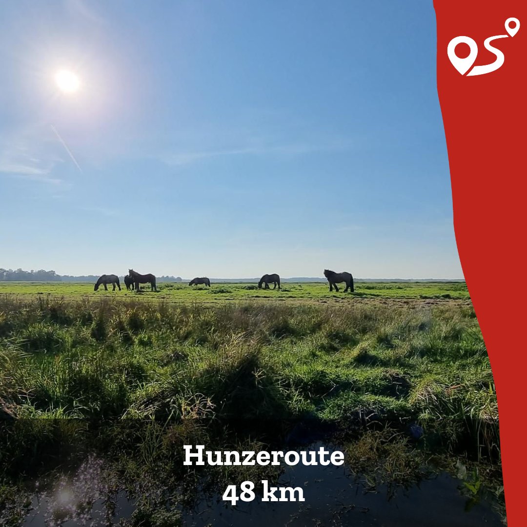 OpFietseDrenthe's tweet photo. Fiets langs grafheuvels, molens en dorpjes op de grens van Drenthe en Groningen! 🚴‍♀️

De Hunzeroute (48 km) laat je het mooiste van de Hunzevallei beleven. 🌿

#OpFietse #Drenthe #Hunzeroute #OpFietseInDrenthe https://t.co/YE1sULvdAr