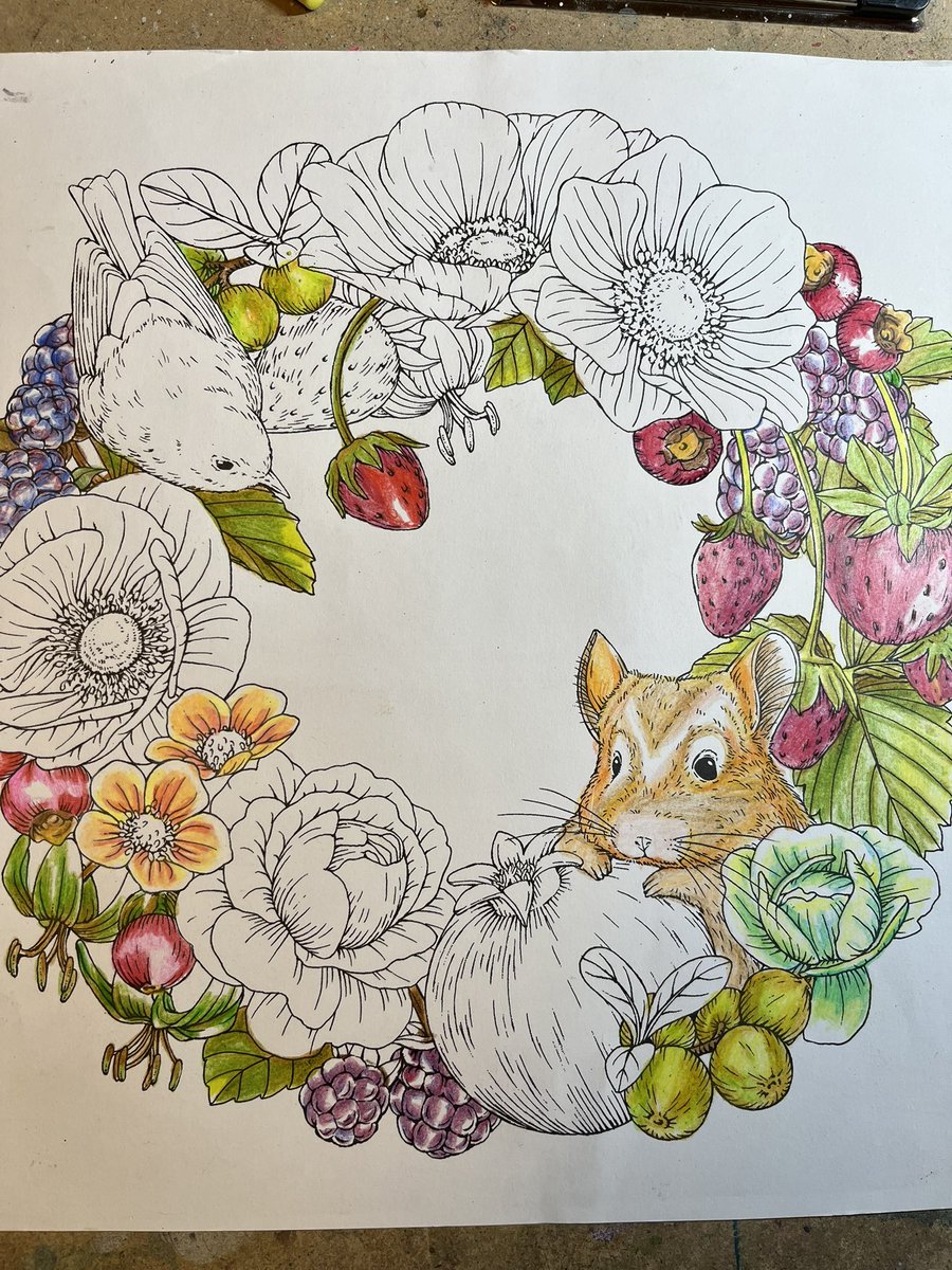 カラスウリ 水彩画 フレーム付き カラスウリ 水彩画 フレーム付き しーちゃん (@c_chan_nurie) / Posts / X