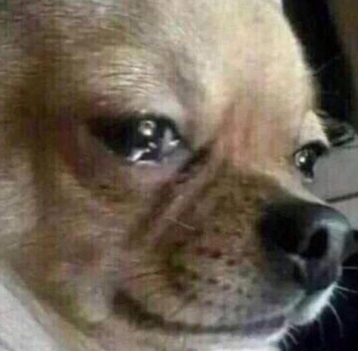 Ayconcepts26's tweet image. $SADDOG

9Enzjhz7gm3aciJLDPGGyM5hwJhepXrXKdjfpiaxpump