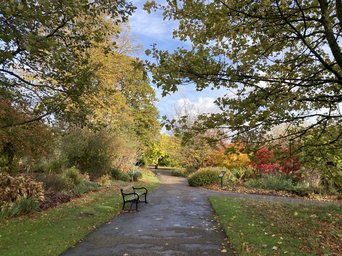 doristhehat tweet media