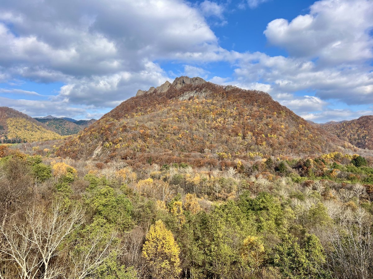 札幌に移住しただんごむし on X