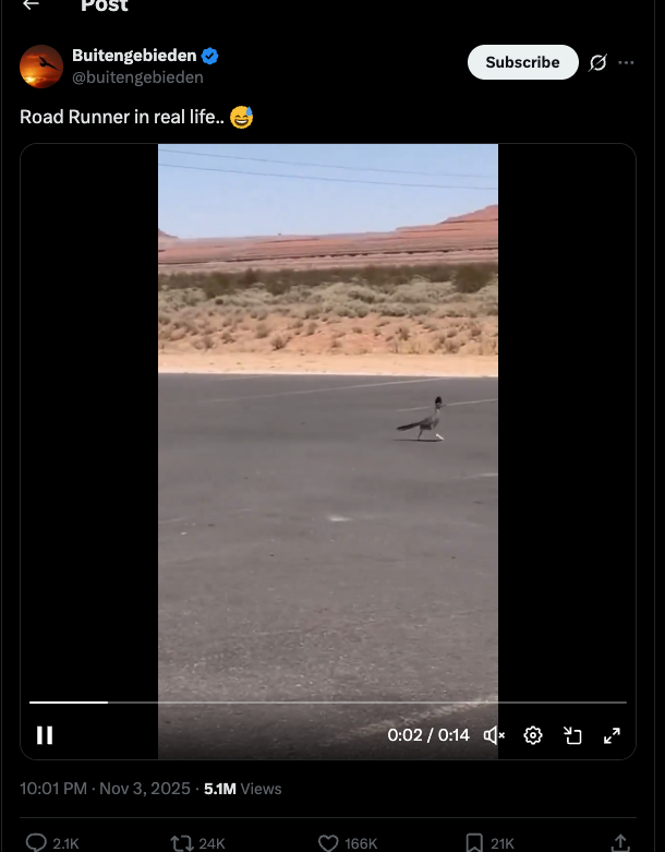 shinoonasam's tweet image. It&apos;s just beginning

5 millions views on 13hours 

THE FASTEST RUNNER 

LET&apos;S BOND IT 

J3AZ4CDaDiTZqjamJRQ8ygFUjwrShmbJPttZDnAJpump