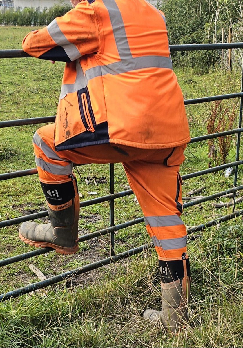 Hiviz_scruffs tweet media