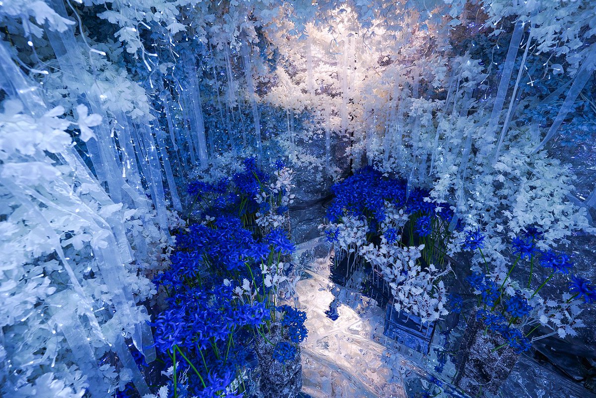 スタジオこむや (@comuya_com) / Highlights / X