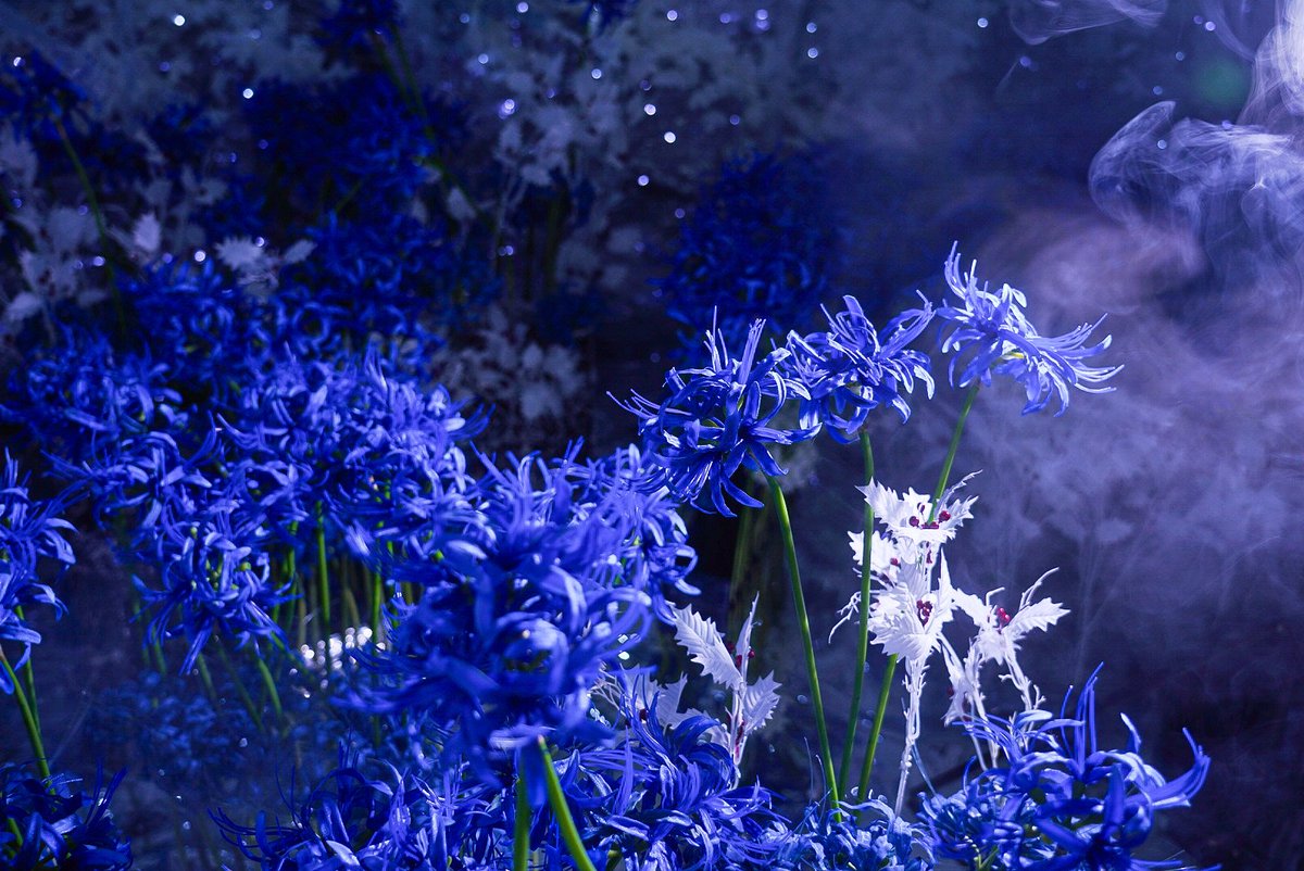 スタジオこむや on X