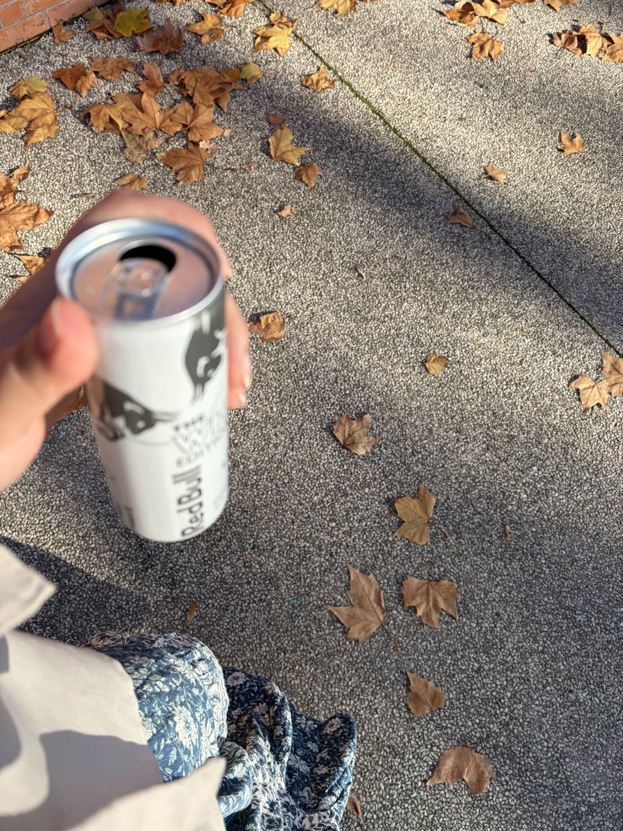 sarsouracc's tweet image. Ptit dej #tox