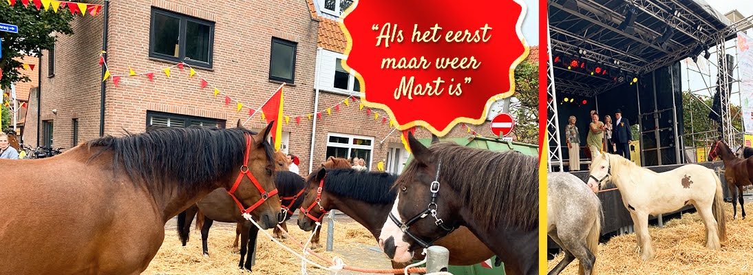 FieggenTineke's tweet image. Horse Market Valkenburg (South Holland) bit.ly/47mbVBc

The Horse Market, also known as '#DeMart' (#TheMart), is the oldest horse market in the Netherlands and takes place annually on the second Wednesday of September in Valkenburg, South Holland.
The tradition dates