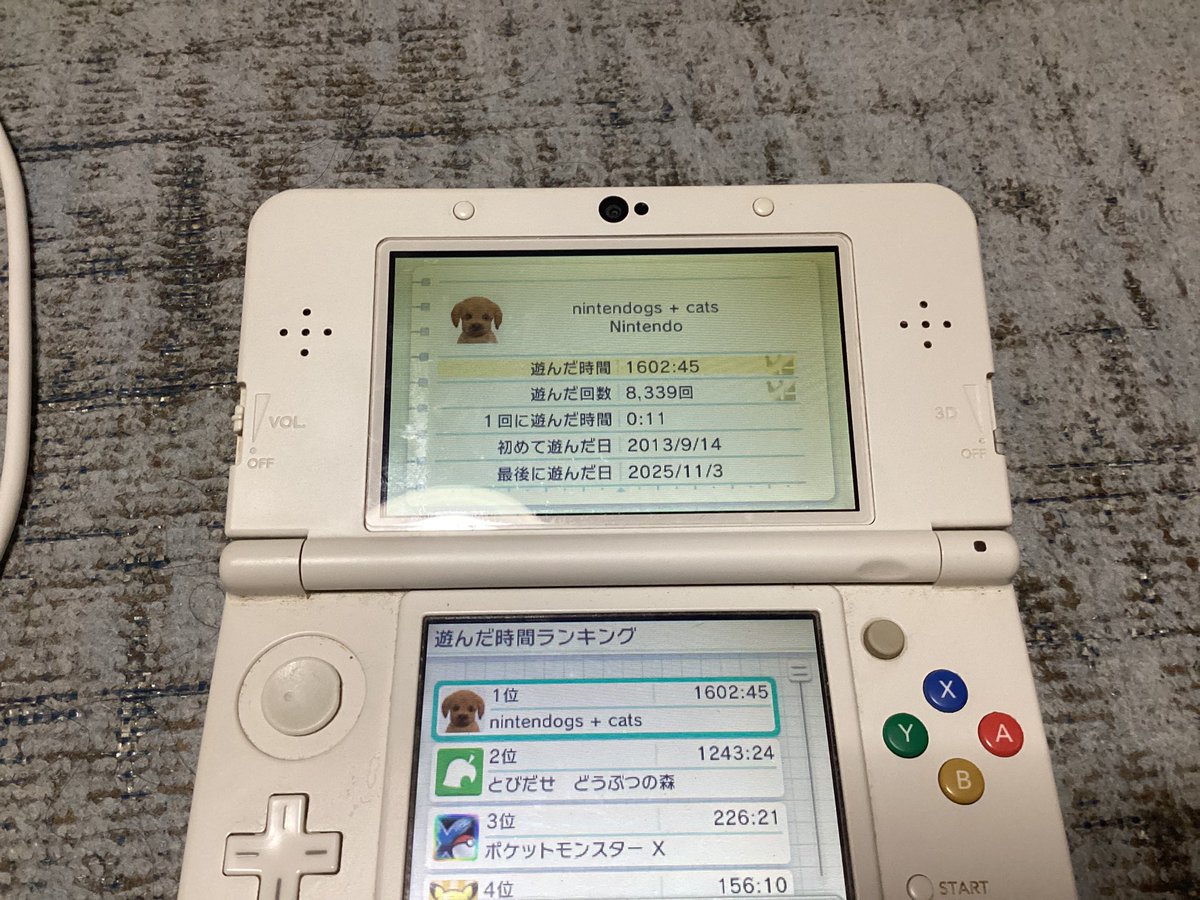 もやしめじページ 味と香り抜群 大黒本しめじ(京都府産 河合さん他