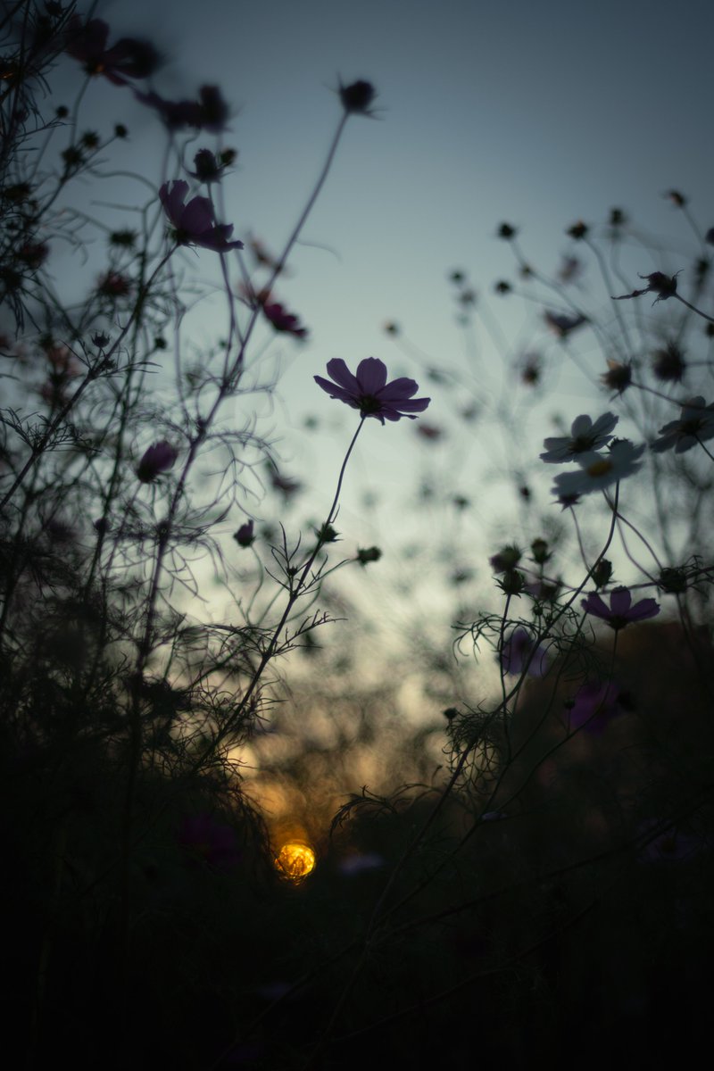 革小物/やまやす on X