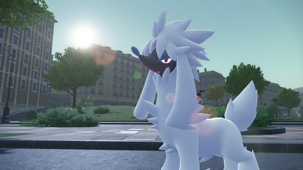 Furfrou ໒꒱ tweet media