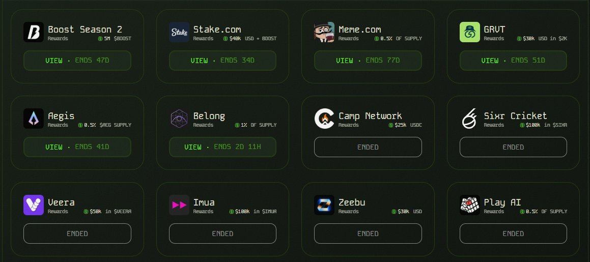 DonaldP 🏴‍☠️ tweet media