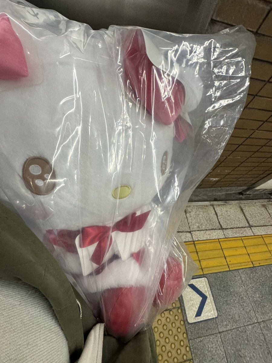 追加したらお迎えできた☆