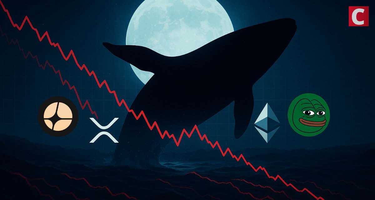 'Anti-CZ' Whale Sits on $100M Profits, Shorting ASTER, XRP, ETH, PEPE
The whale that, according to the community, read the market is seeing massive returns as crypto asset prices plunge. 
coinspeaker.com/anti-cz-whale-…