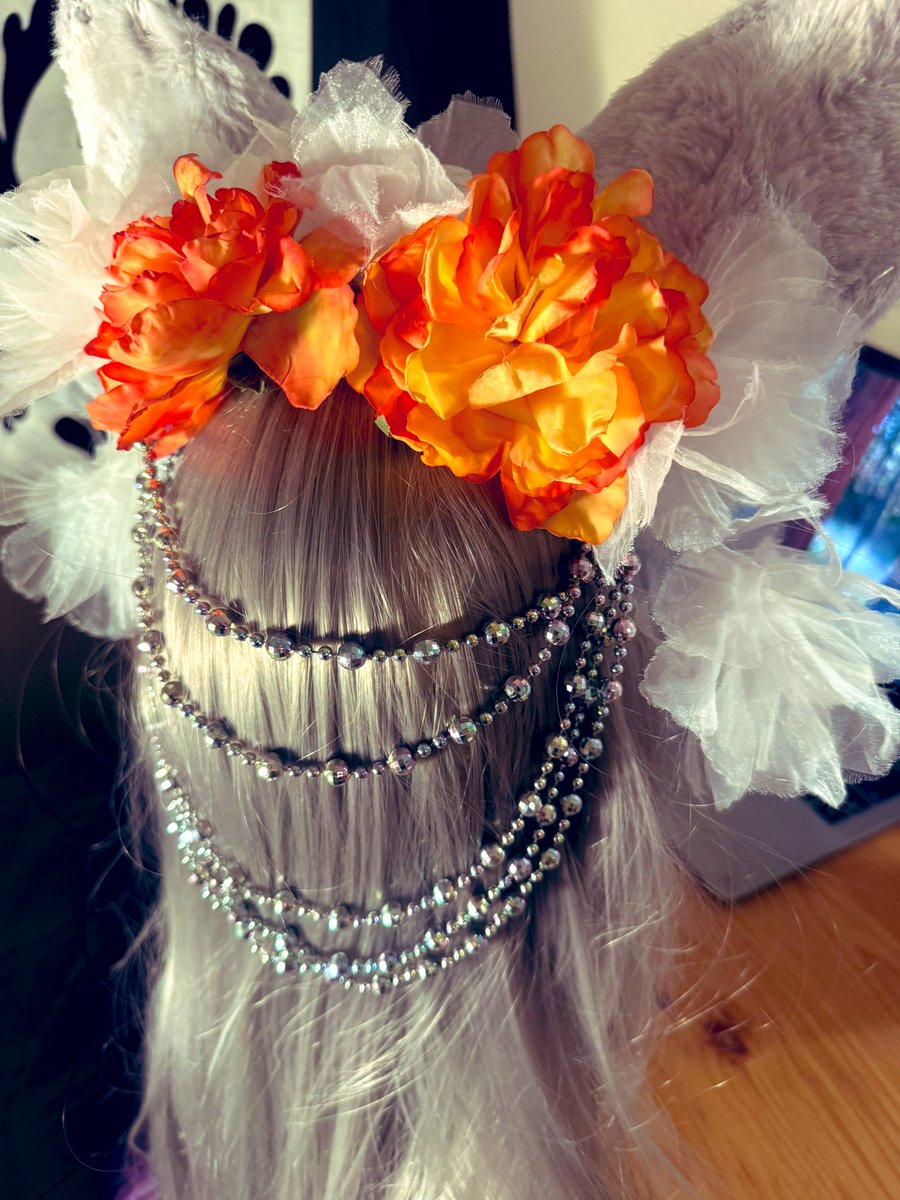 蓮月🌙 れんげつ@11/8 笠間 11/16デザフェス 11/2930太秦 on X