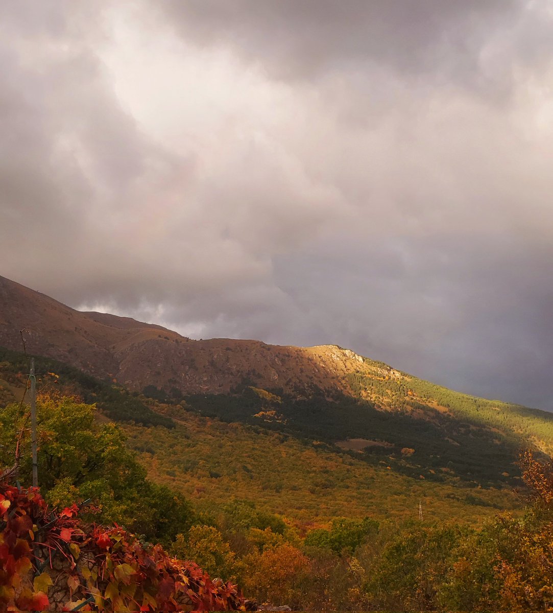 Maria Lea tweet media