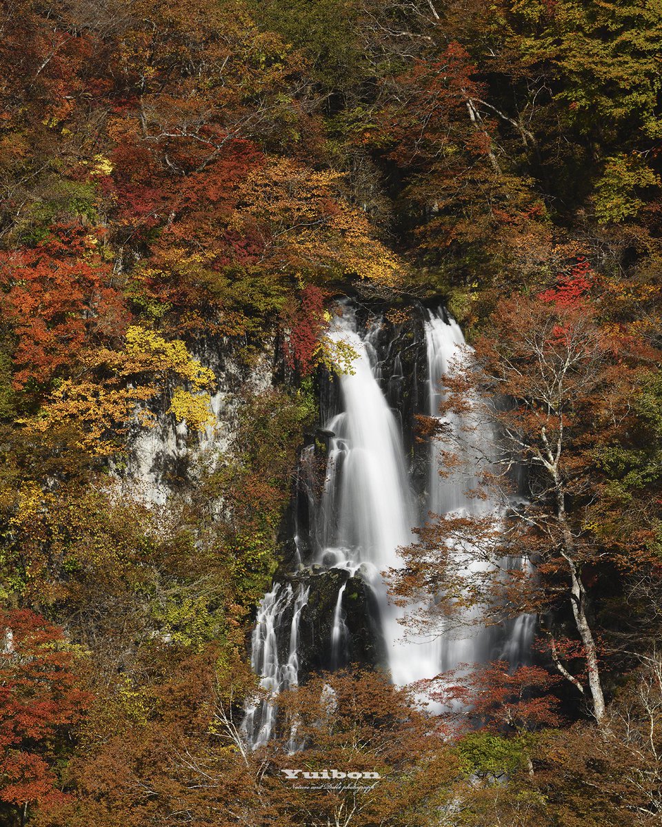 滝ぼん 滝ぼん 滝ぼん Kanba-no-taki (waterfall) Park – Chugoku Region