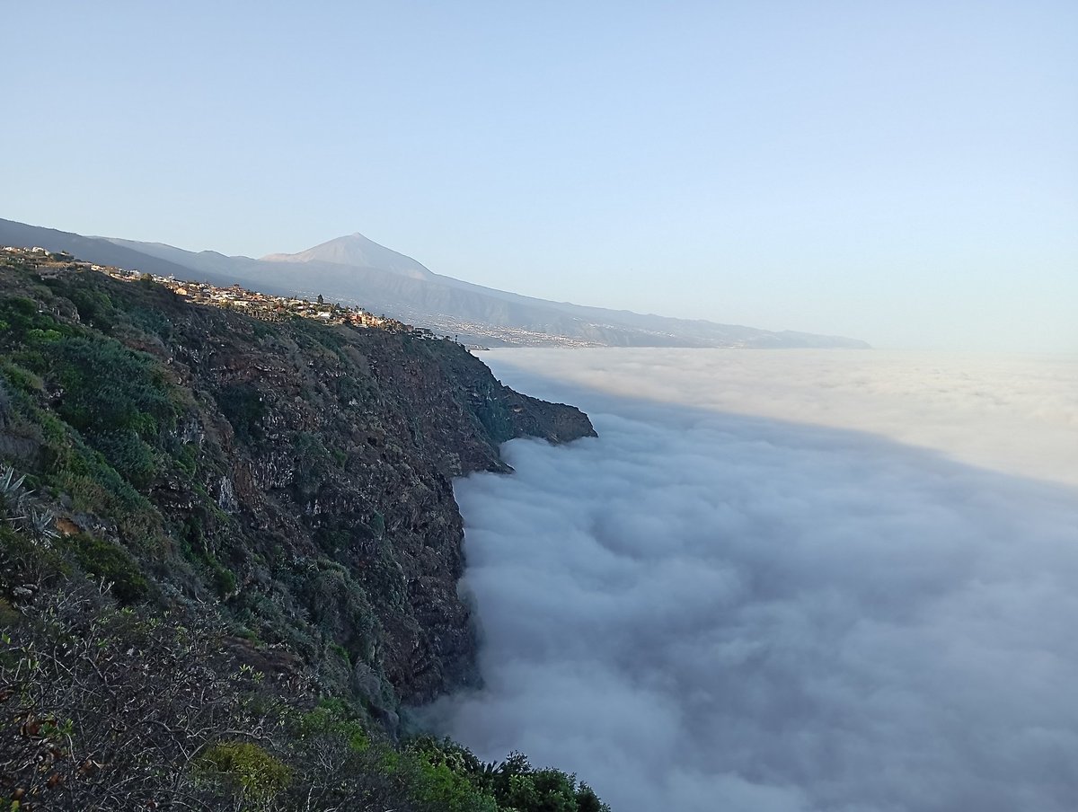 Tenerife entre algodones, hoy el mar de nubes fue a saludar a su homónimo salino
#Tiempo y #RTVCa #rtvcanarias #Tenerife
