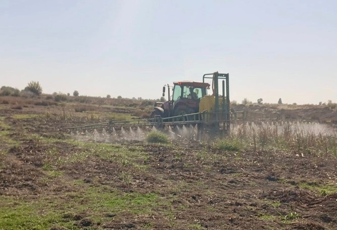 Meralarda istilacı bitkilere karşı mücadele <a href="/Abdurra33831811/">Abdurrahman TÜRKMEN</a>  <a href="/tahirbilimm/">Tahir BİLİM</a> 
hataygazetesi.com/ilce-haberleri…