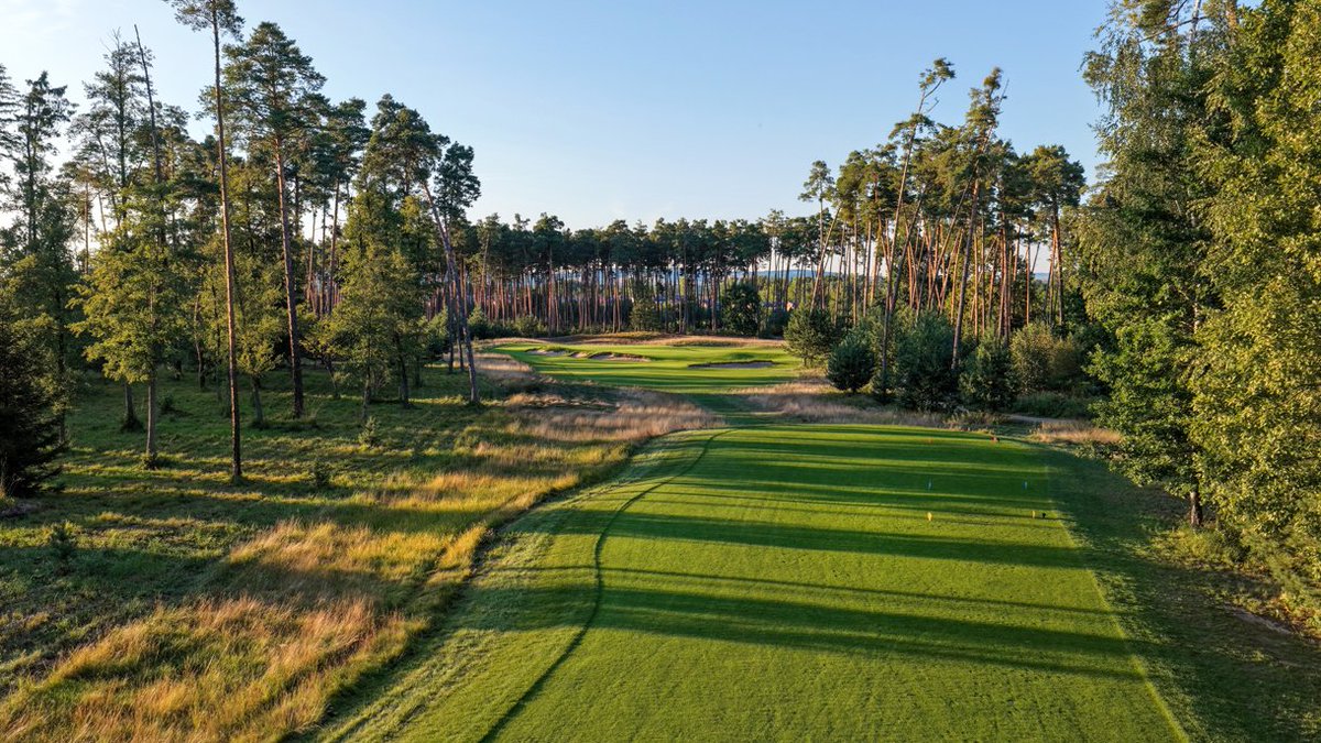 Jonathan Davison tweet media