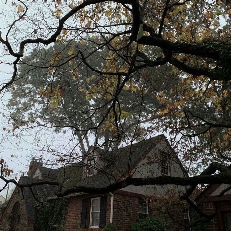 eyretartt's tweet image. on the right track