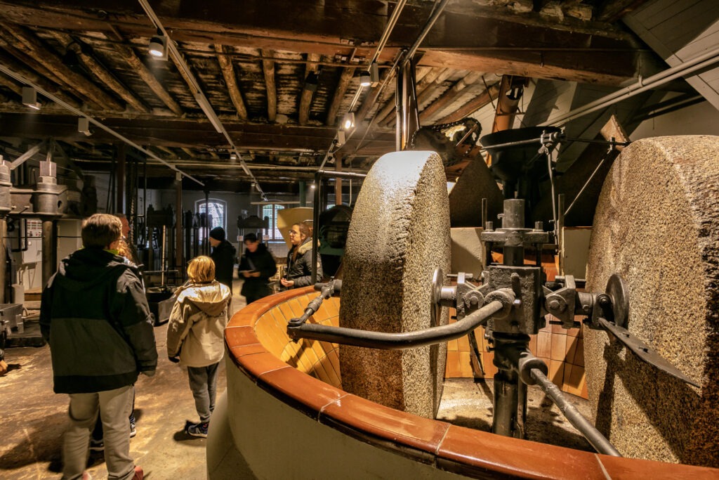 Comença una nova temporada 🫒 d’Oleoturisme a la demarcació de Lleida! A les Garrigues, el Segrià, l’Urgell, la Noguera i el Pallars Jussà, descobreix la màgia del turisme KM0 🤩. Vine, apropa’t a Lleida i viu l’essència del territori!

➡️ aralleida.cat/oleo-turisme/