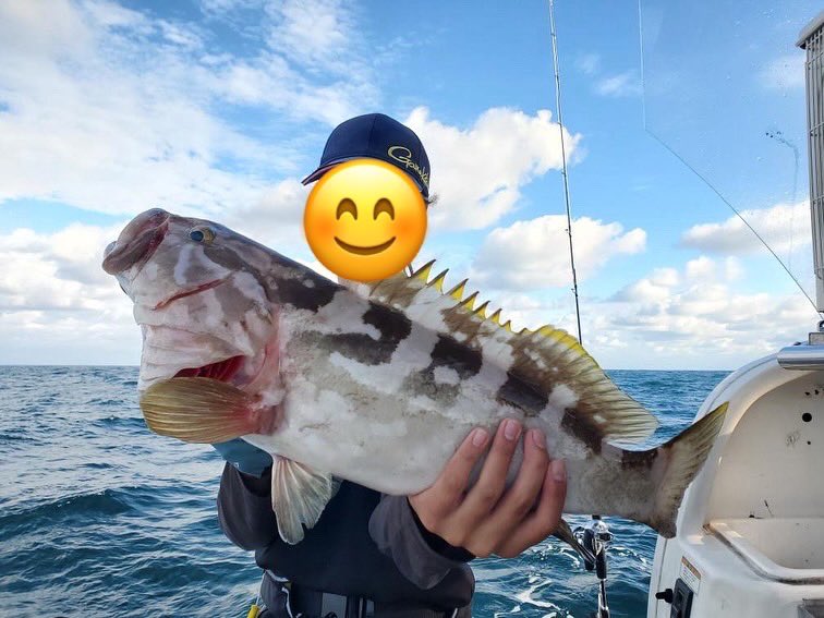 Fish throttle (クソ雑魚アングラー) tweet media