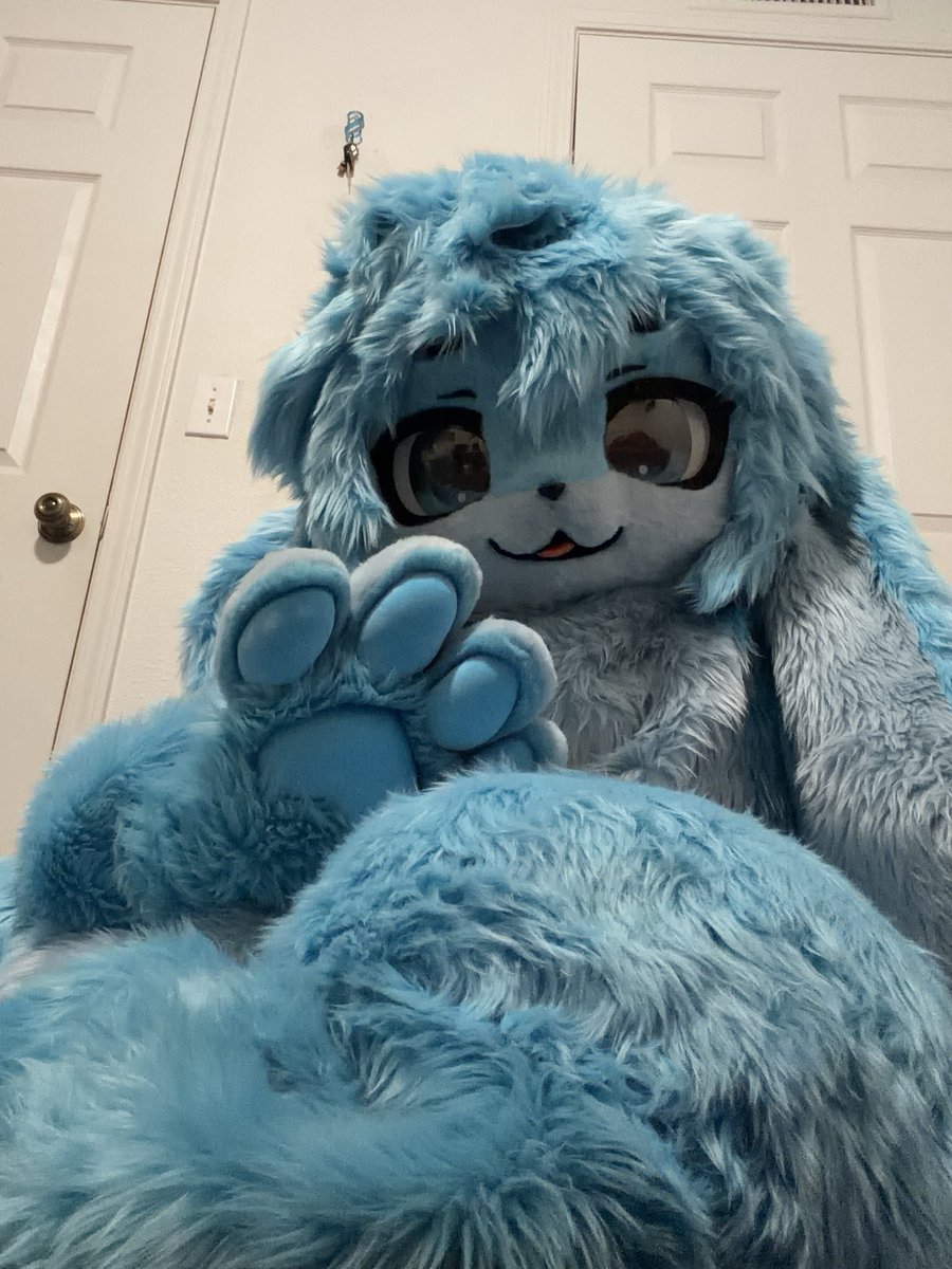 sevvycat's tweet image. solo fursuit photo taking is so hard 😭