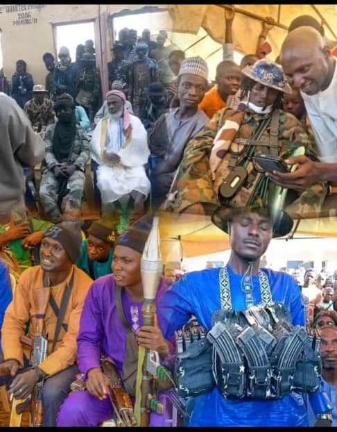 Goddey42582683's tweet photo. @aonanuga1956 We are talking about everyday killings in the country a whole oga Patapata of Nigeria media is busy about the position of P.O.... Oooh what a country..
Tell me why US soldiers shouldn't invade the country when the Govt is busy negotiating wit Terrorists.. Stupid set of people https://t.co/7Rs93HTUBe