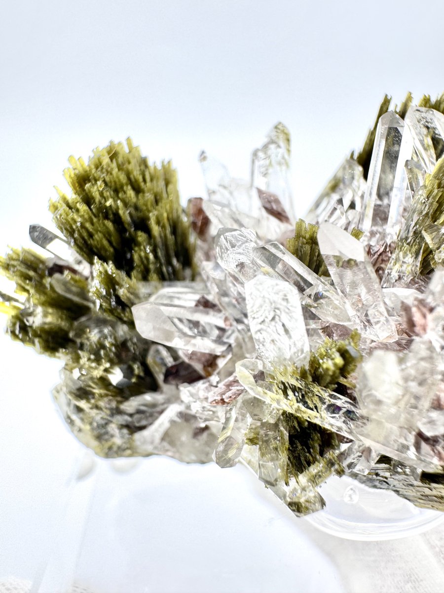 ミネラル4　ナミノリコサマ ミネラル4 ナミノリコサマ Amazon | 【美容外科医と薬膳の専門家