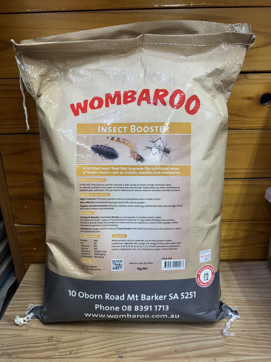 ル*ロ様 P.Bacterial 子株付き！ 爬虫類倶楽部 大宮店 on X