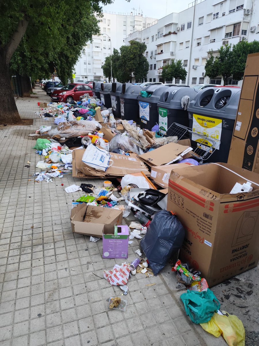 josecarlos10mg's tweet photo. @jlsanzalcalde @DtoCerroAmate Así tienen los vecinos de La Plata las calles y los escampados, absolutamente abandonados por su gestión!!!!🤬🤬 https://t.co/W2wsmaqPxA
