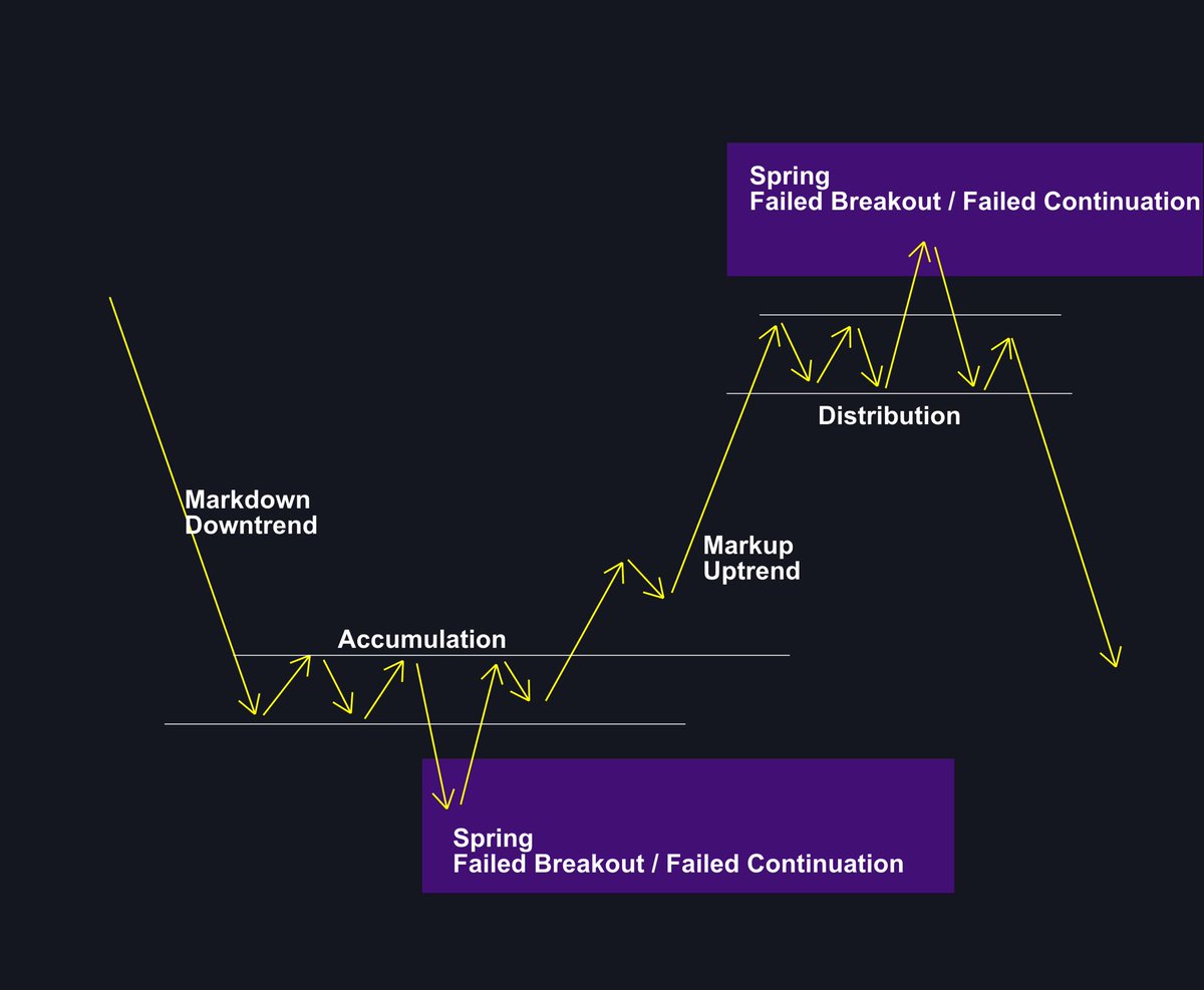 VECTOR PRIME tweet media