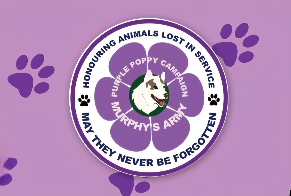 As always, I will be wearing a purple poppy all through November.
#TheyAlsoServed