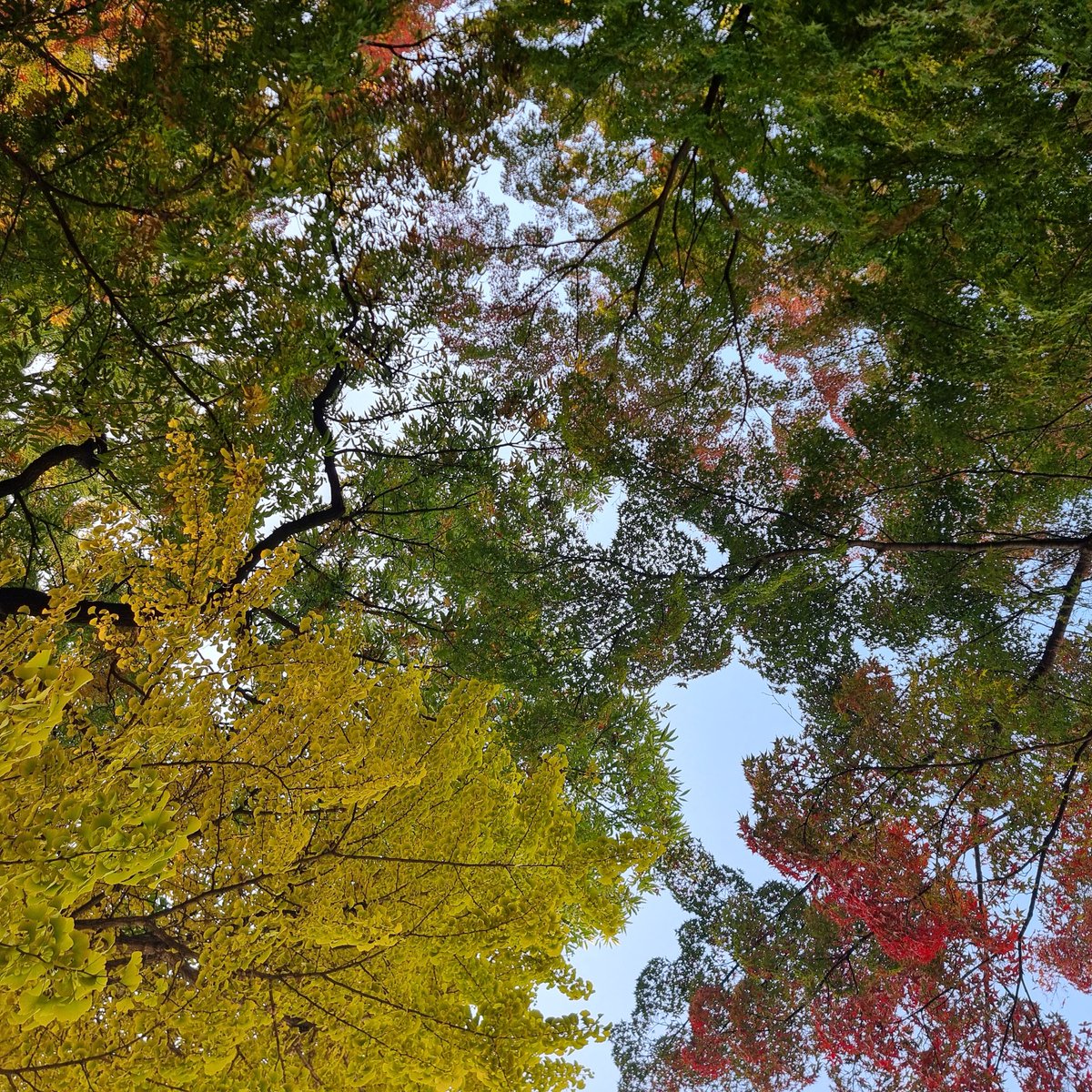 컄컄컄 (@12slyg08) on Twitter photo 