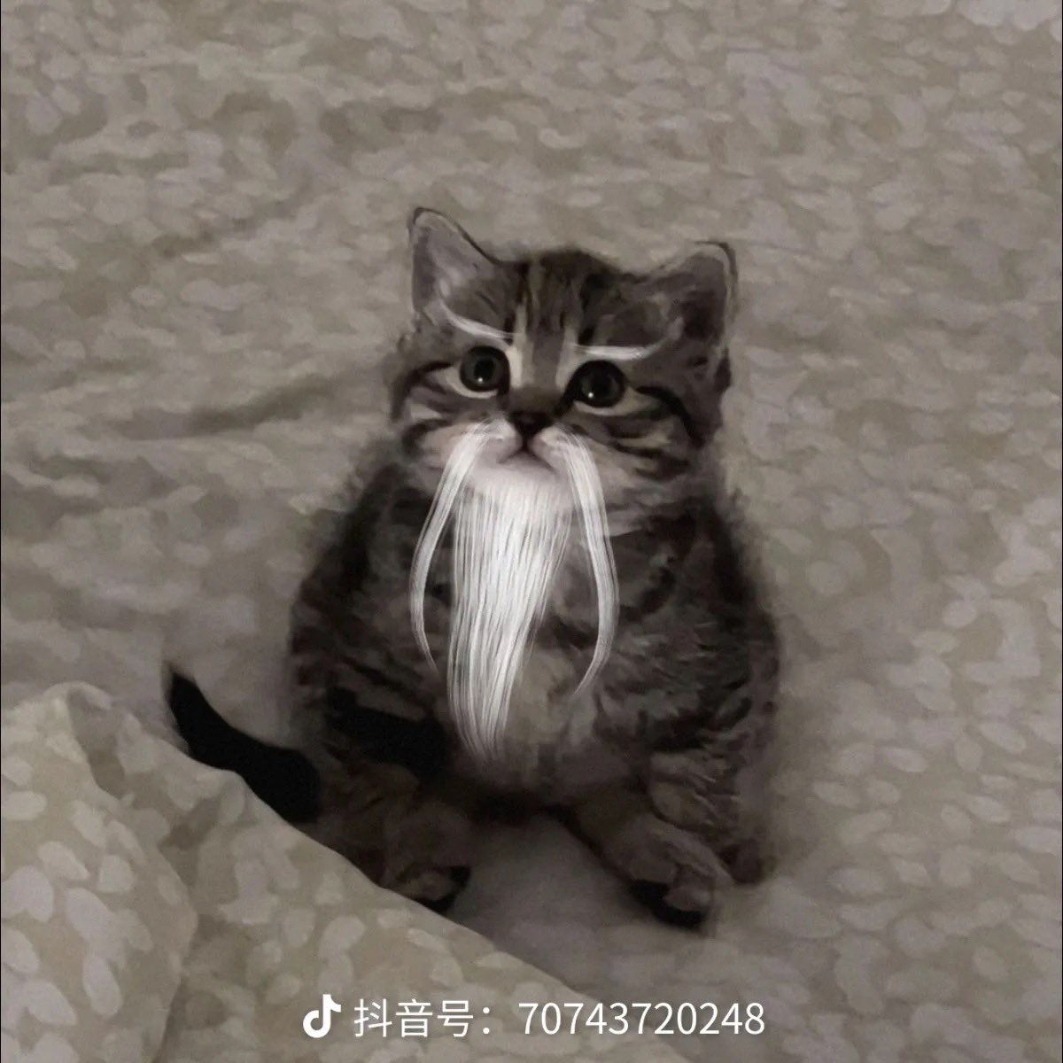 HJXRCTO's tweet image. TUT @MisterNarcos 
现在名牌支持我们 #哈基仙人

大家速度干活，扩散出去，
让更多人知道！
我们继续推进！

Keep Building