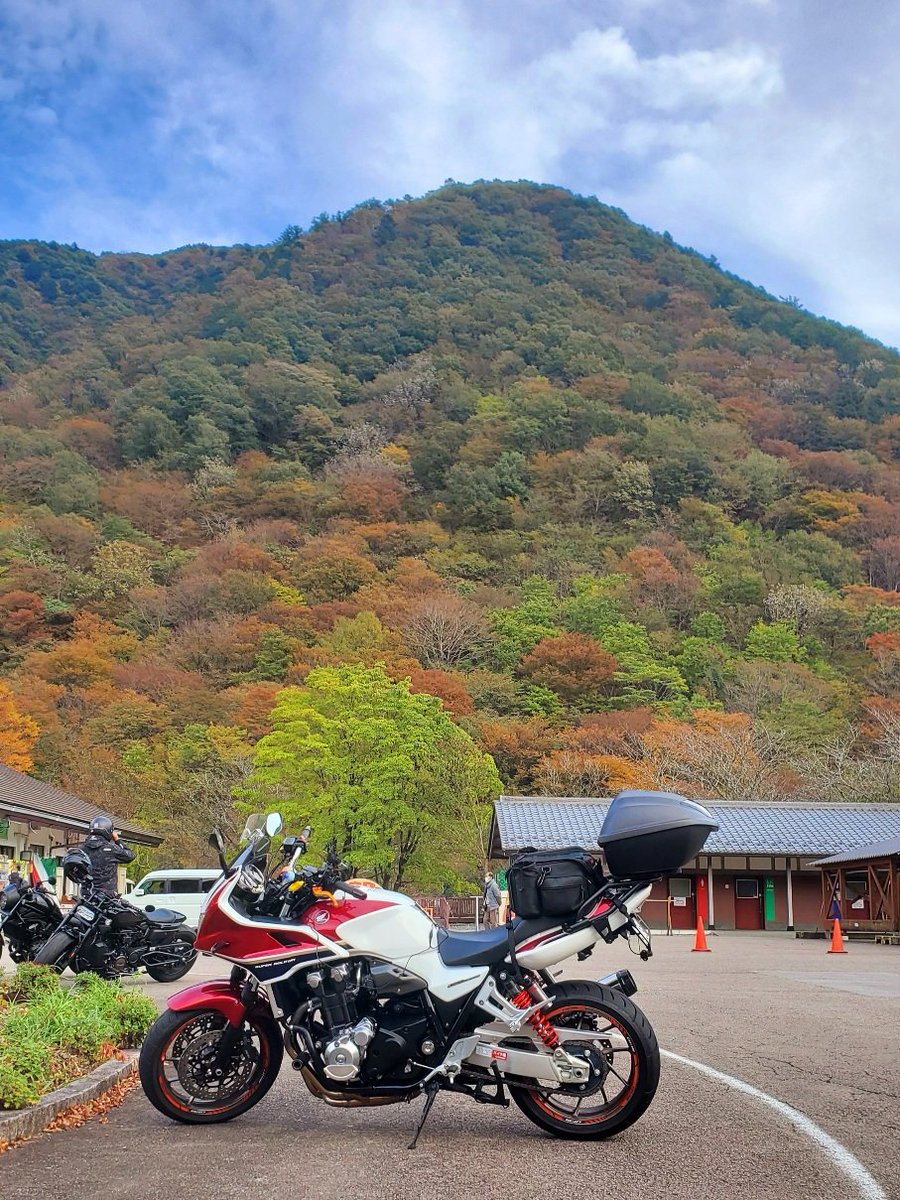 MsLABO6's tweet image. せせらぎ街道、予想の遥か上を行く紅葉の美しさでした✨🍁🍂✨
撮影スポットありすぎて、もう写真撮るのやめて、走りながら紅葉狩りすることに専念しました☺️
だからこれ１枚…道の駅明宝にて
#CB1300SB