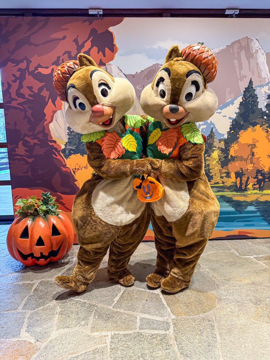 帰国！
今回、ハロウィーン当日被ってたから、
現地オタクの知り合い増えておもしろかった🤣 また1ヶ月後に飛びます🇫🇷✈️🎄