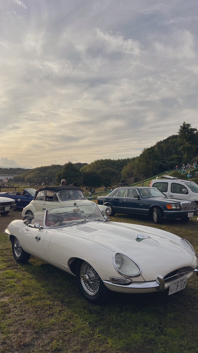 古き良き車たち。