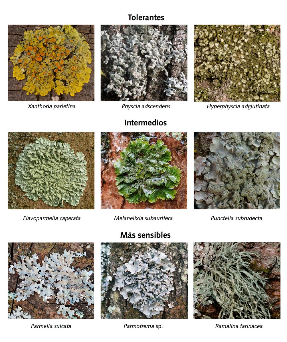 Eduardo Cires tweet media