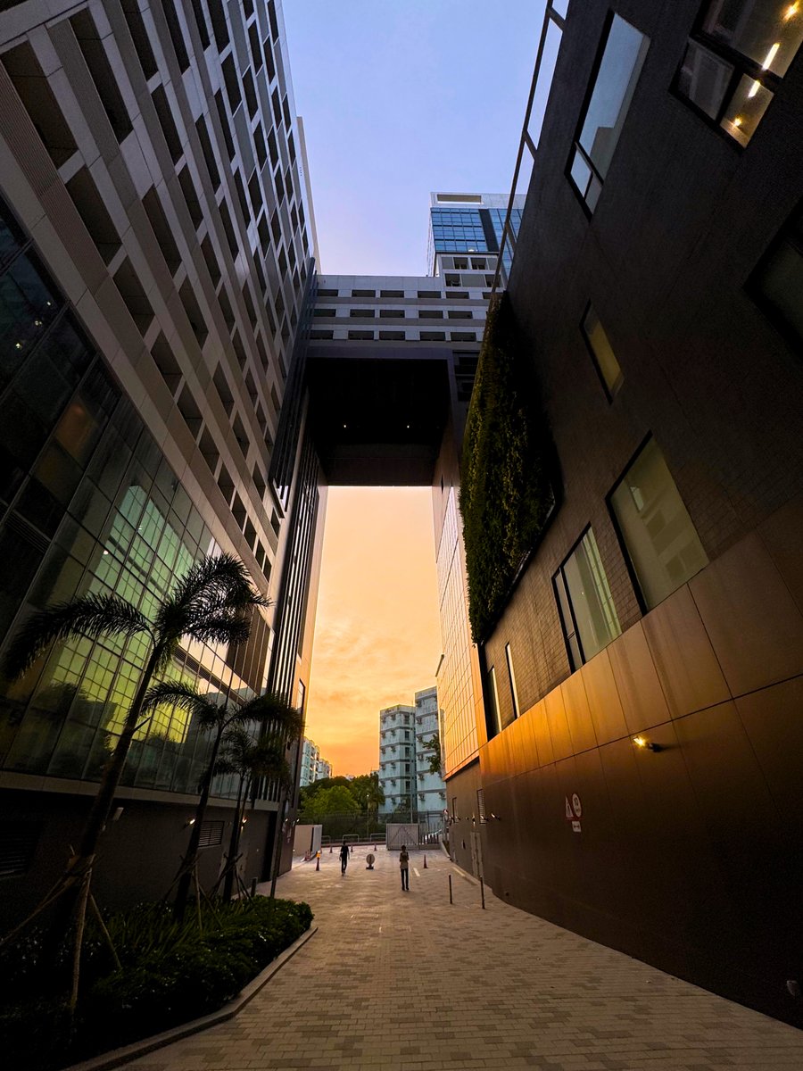 🌉Sometimes, the only barrier between two skies is a single bridge. Take a few more steps forward,  and you may discover an entirely new world unfolding above and beyond.