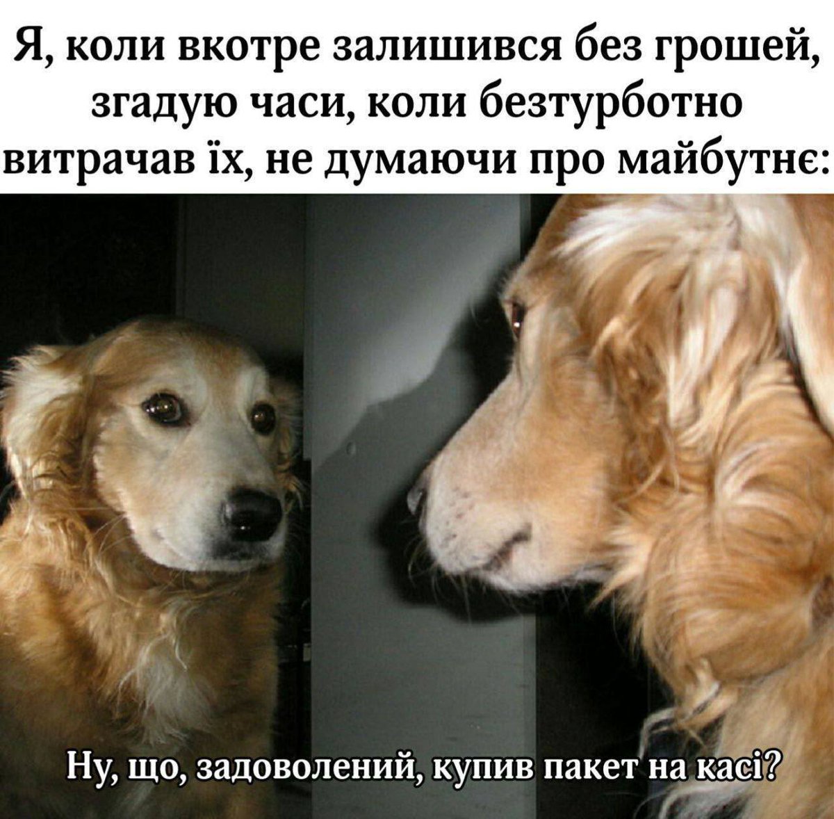 бро скинув мем tweet media