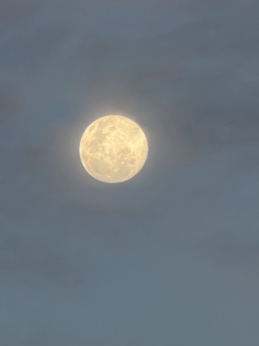 Bloodmoon08578's tweet image. Tonight’s no bloodmoon just a
Waxing Gibbous and it’s shinning bright 

#MoonMagic