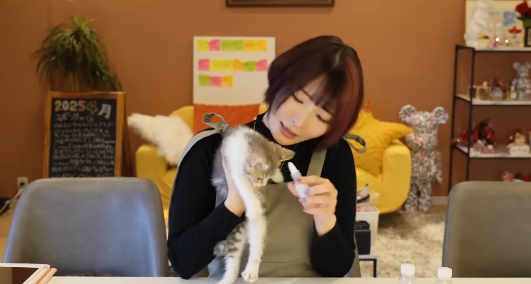 nabikimaster4's tweet image. #いい推しの日

これからも応援します

@kirara_stmlt 
@ecchan_bom2 
@hashimoto__sana 
@tamachanrooom