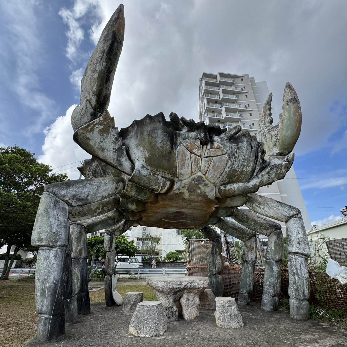 ■星/カガミ/沖縄/オブジェ Carve a Northwest Coast Bear Sculpture with Kari Morgan | Port