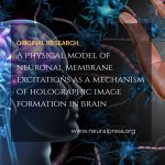 Photo by Journal of Multiscale Neuroscience (@neuralpress)