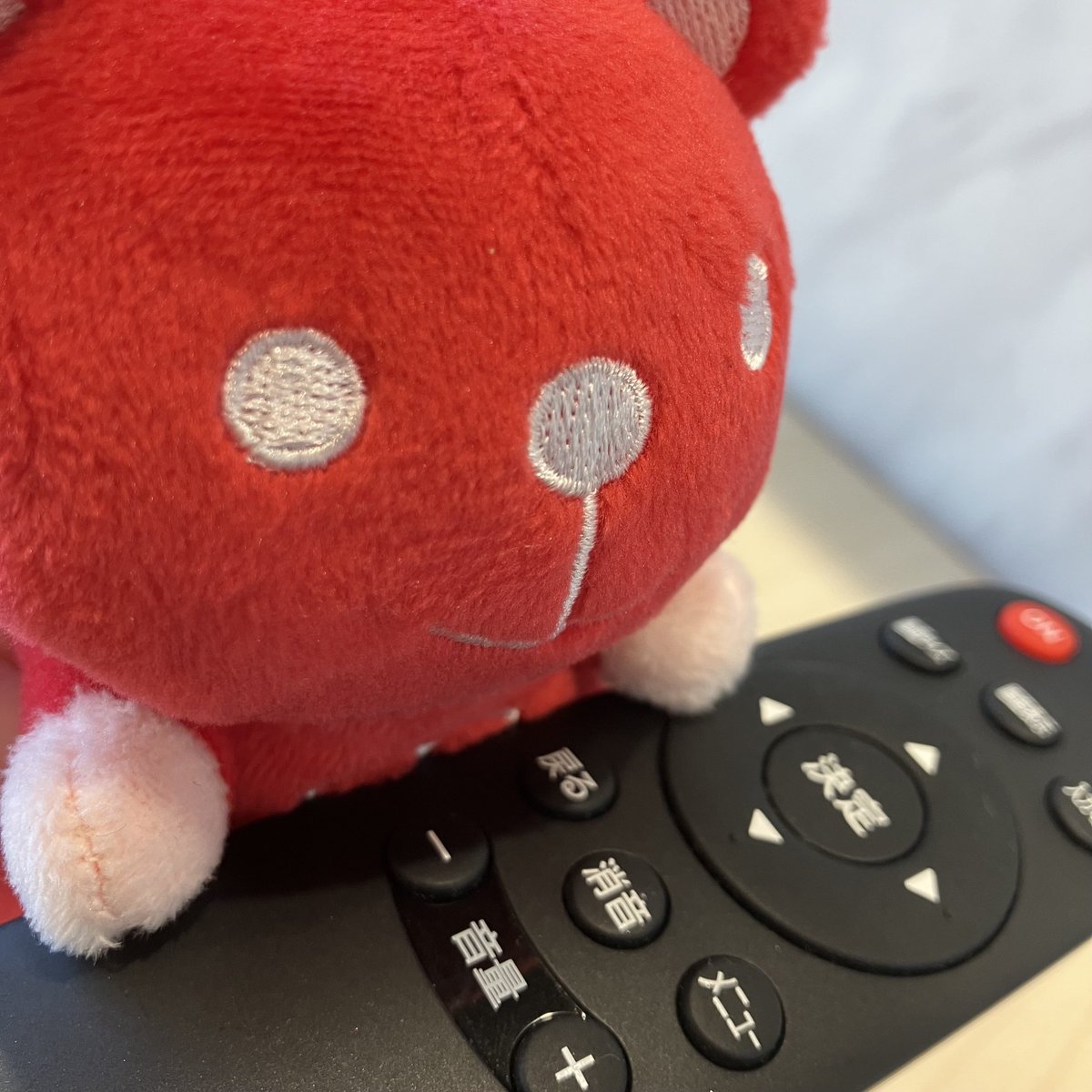 ジュエルぐま (@Jewel_Cafe) / Posts / X