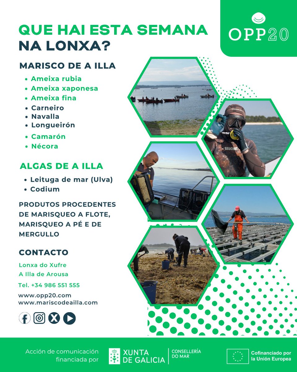 |OPP20TRAZABILIDADE

📍 Esta semana no Xufre:
🦪 Ameixas (rubia, xaponesa e fina), carneiro, navalla, longueirón, camarón e nécora.
🌿 Leituga de mar e codium.
🌊 Produto fresco e local.
🔗 opp20.com | mariscodeailla.com

#MariscoDeaIlla #Trazabilidade
