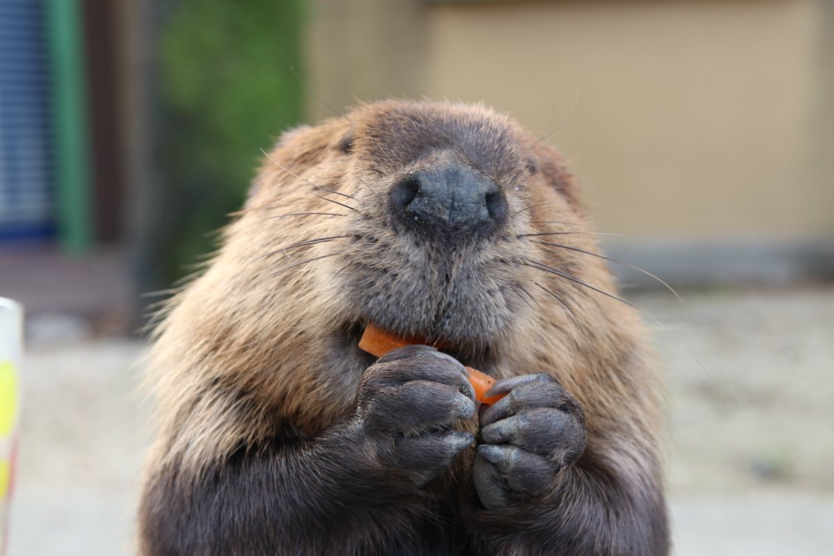 さぁ？ (@sour269) / Posts / X