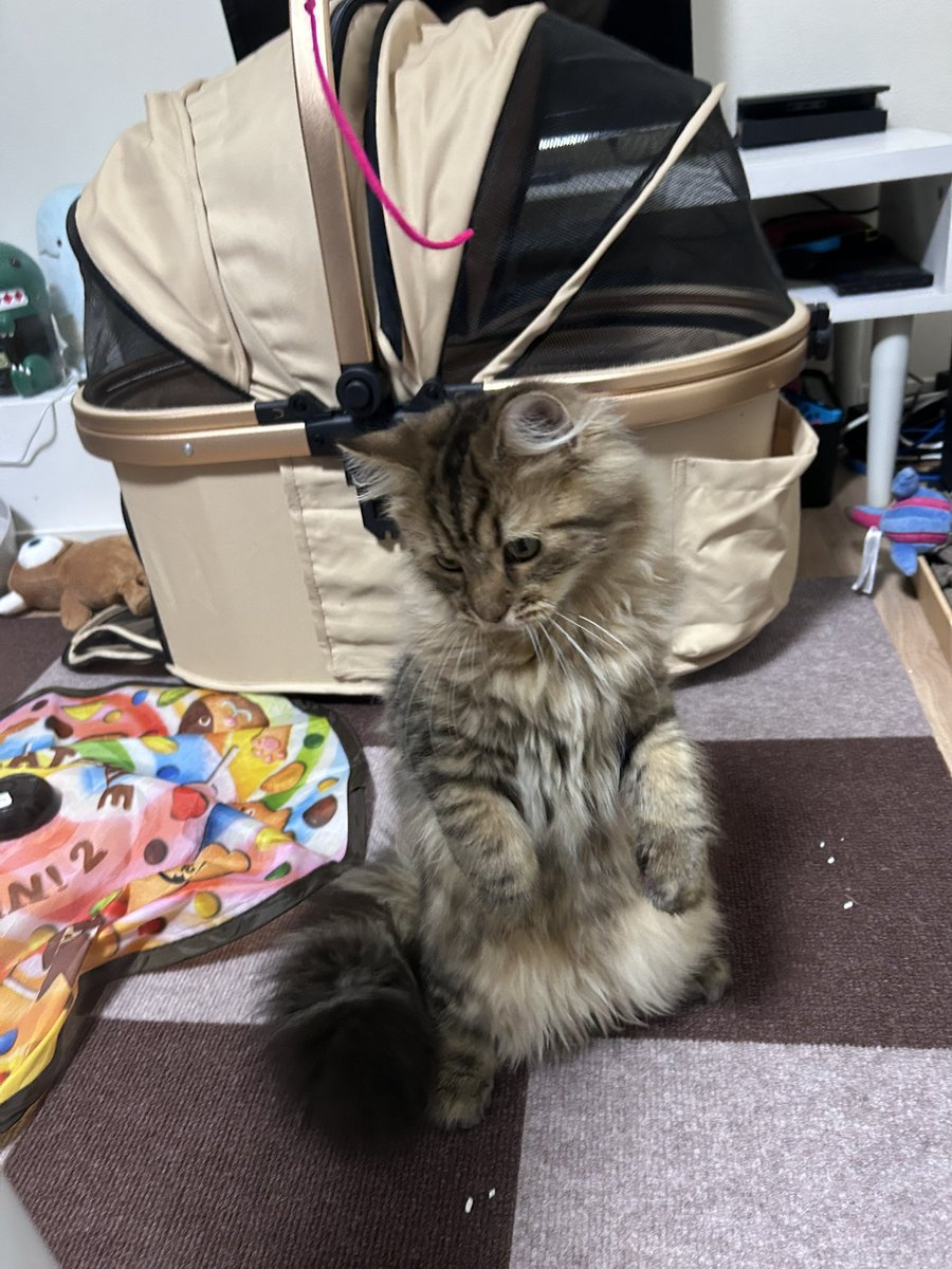 ラオシャンロンの攻撃前みたいな姿やめい